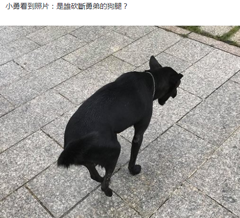 ⭐一手包售后利比亚快手耐用号哪里买真的靠谱